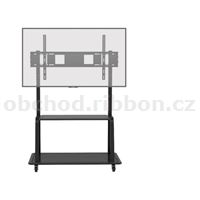ActivPanel Mobile Stand
